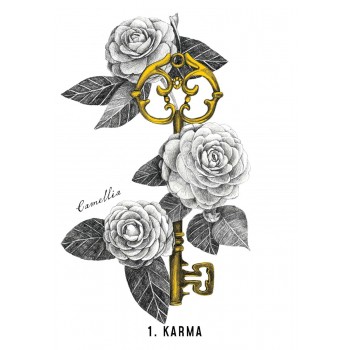 Akasha Oracle kortos Rockpool Publishing